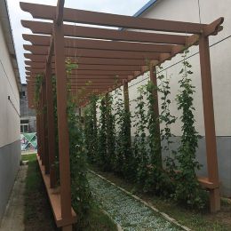  山东客户反馈木塑景观7